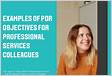 EXAMPLES OF PDR OBJECTIVES FOR PROFESSIONAL SERVICES COLLEAGUE